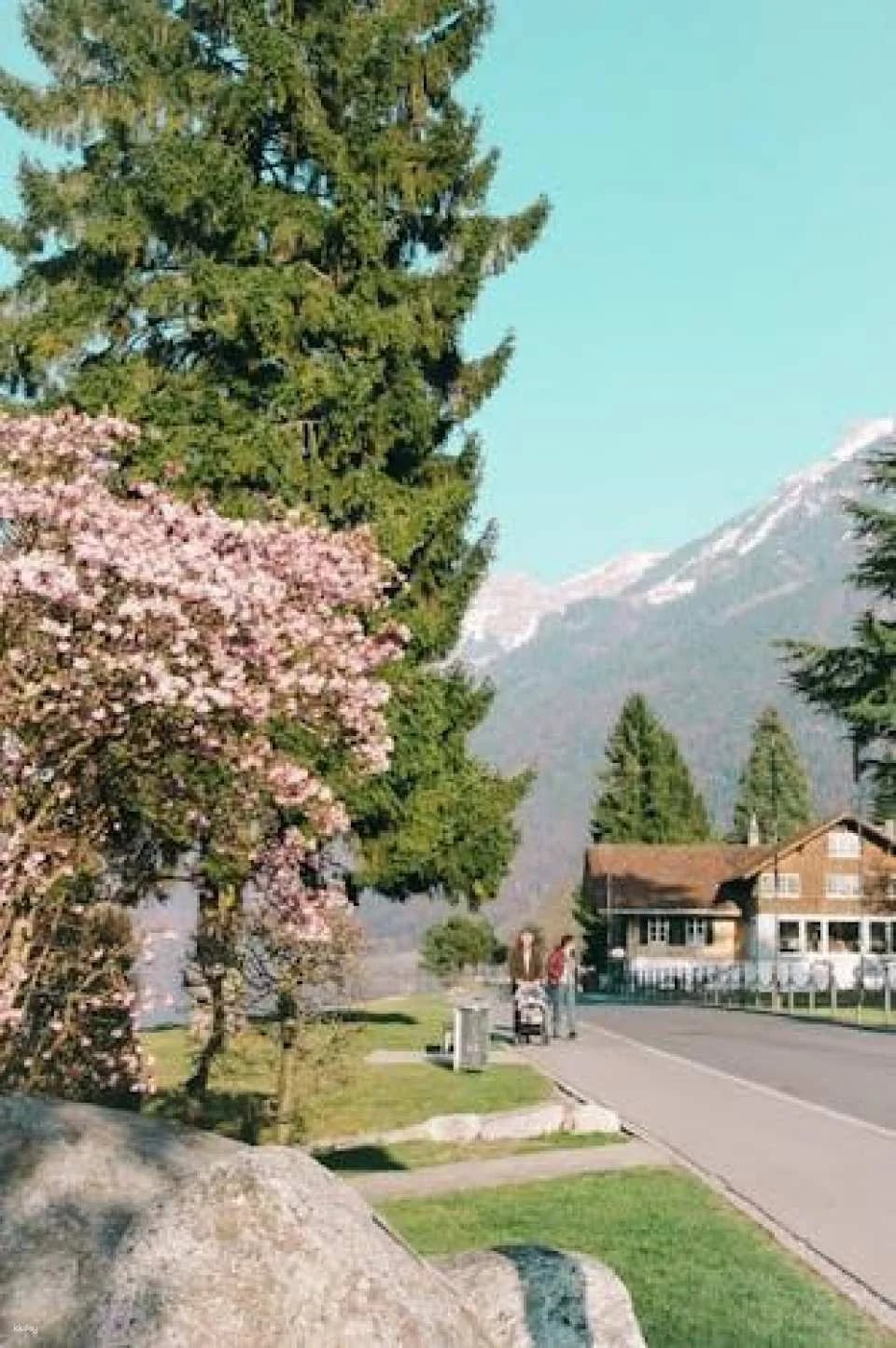 Interlaken art and culture tour with a local