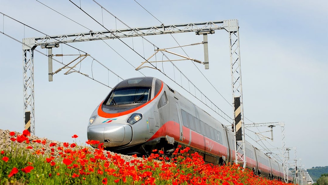 Trenitalia train traveling through a field of red poppies, Interrail Global Mobile Pass.