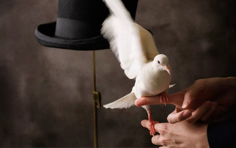 Intimate Magic Show & Signature Cocktails in Tokyo Image 10