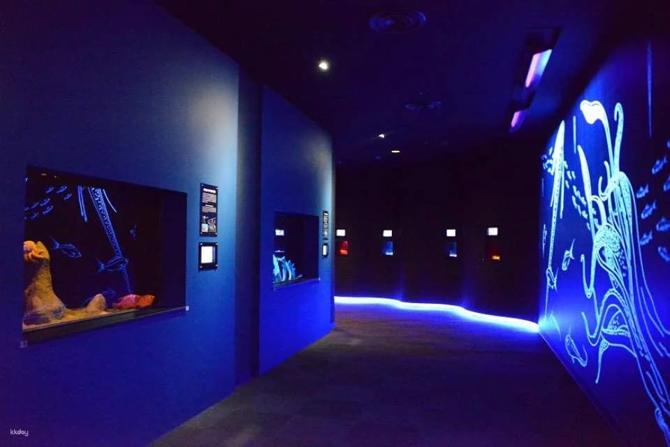 Io World Kagoshima City Aquarium Entrance Ticket | Japan