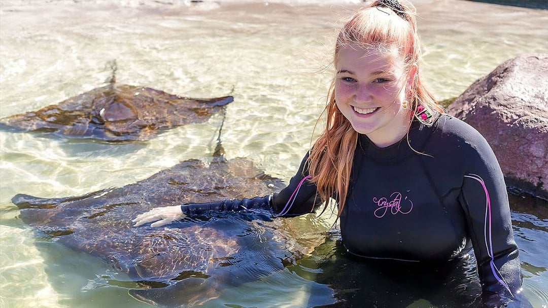 Irukandji Entry Pass with Little Ray Cuddle Experience, Port Stephens