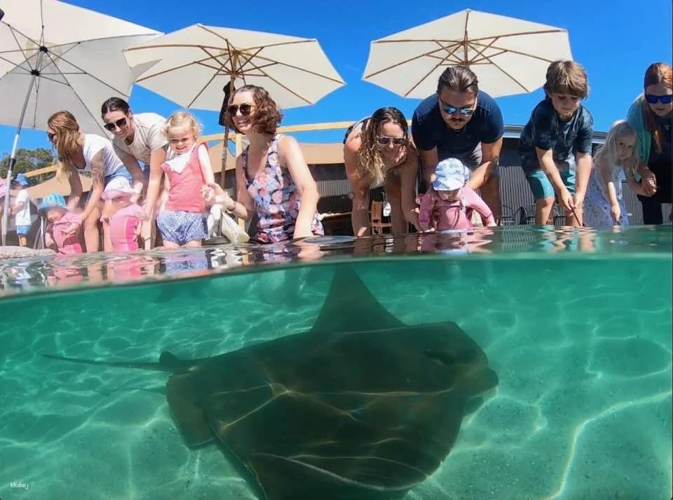 Irukandji Shark & Ray Encounters & Shallows Encounter Admission Ticket - New South Wales