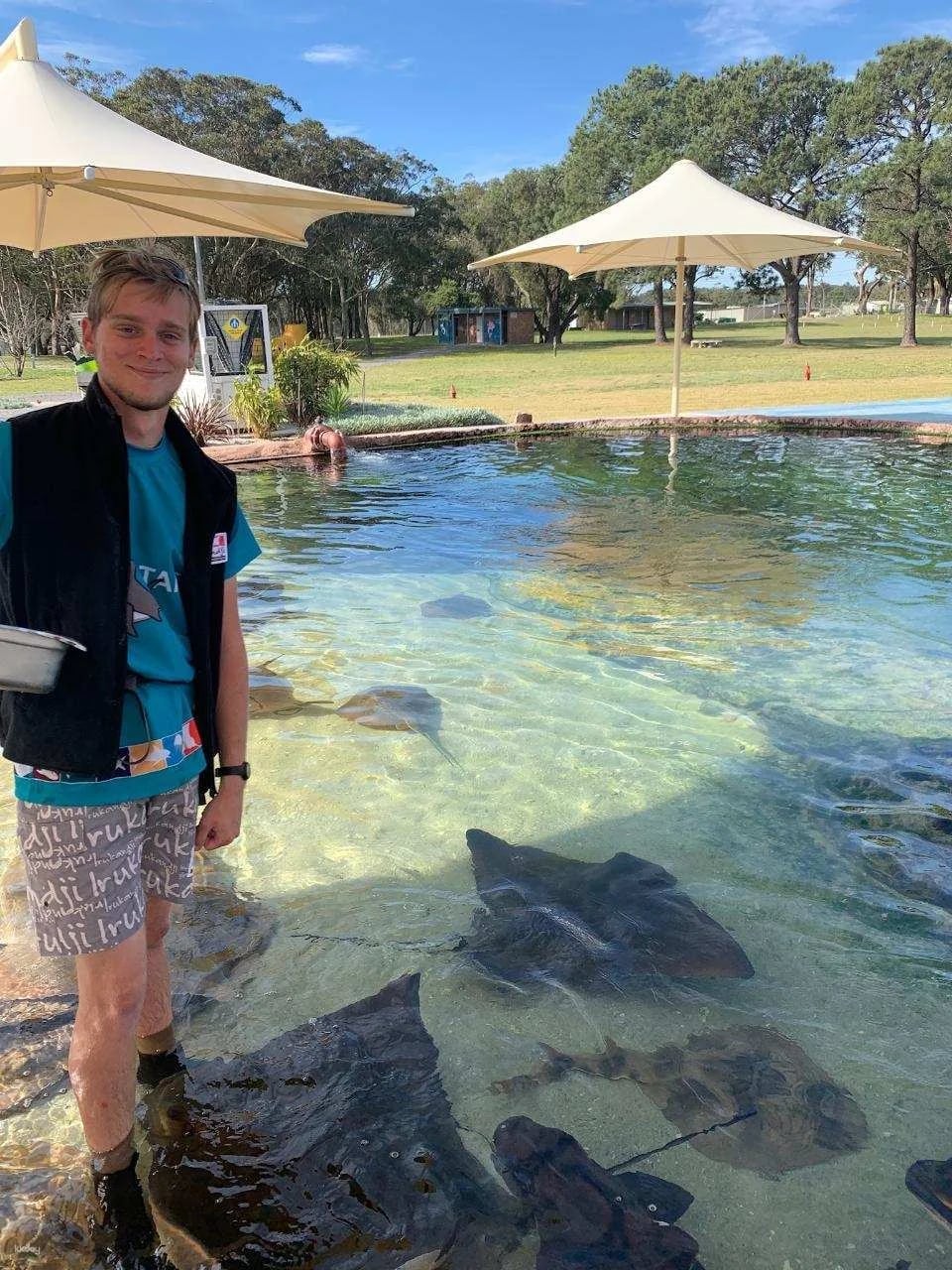 Irukandji Shark & Ray Encounters & Shallows Encounter Admission Ticket | New South Wales