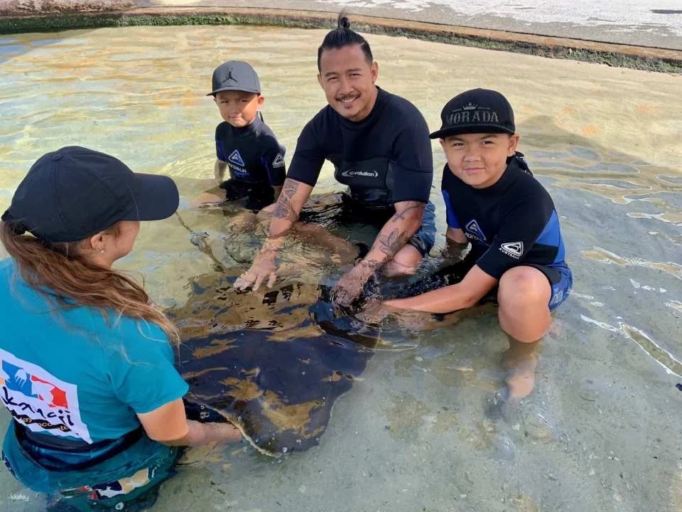 Irukandji Shark & Ray Encounters & Shallows Encounter Admission Ticket | New South Wales