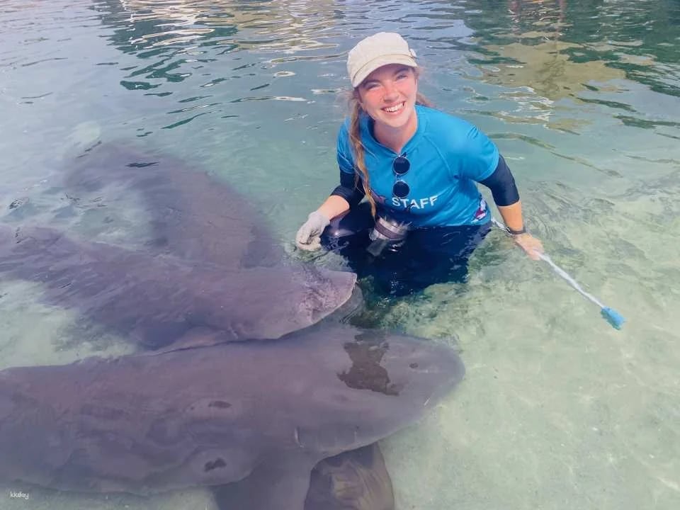 Irukandji Shark & Ray Encounters & Shallows Encounter Admission Ticket | New South Wales