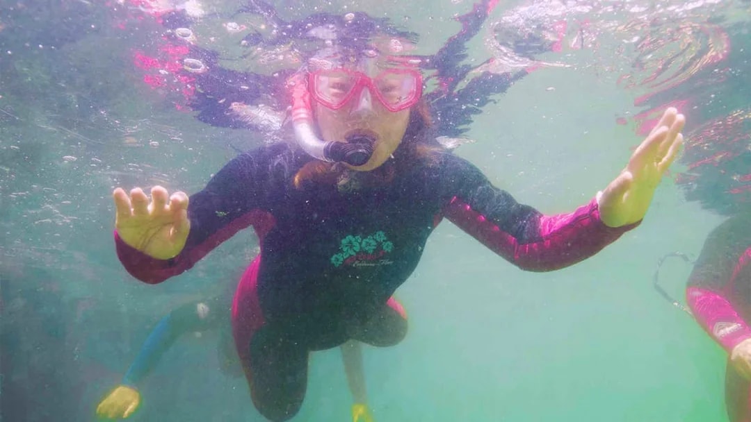 Snorkeler in wetsuit exploring underwater, part of Snorkel with Sharks & Rays tour.