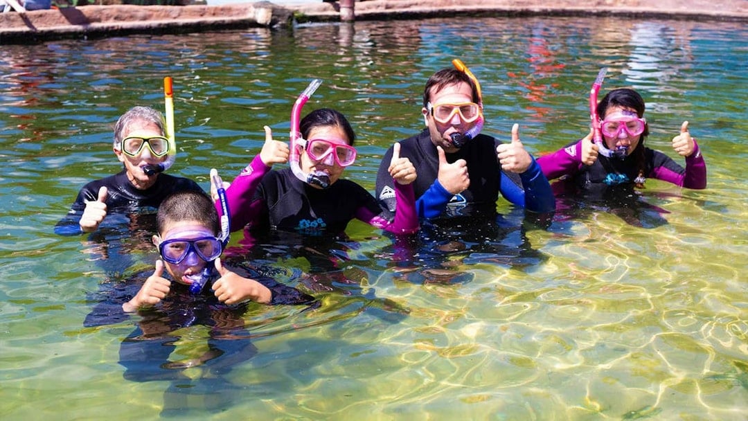 Tickets to Irukandji Shark & Ray Encounters with Reef Shark Snorkel Experience, Port Stephens
