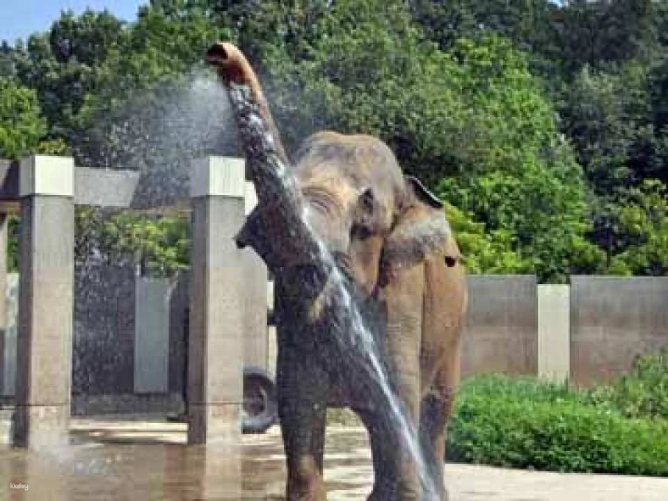 Ishikawa Zoo Admission Ticket
