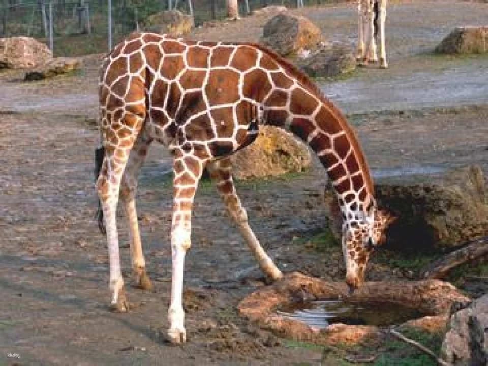 Ishikawa Zoo Admission Ticket