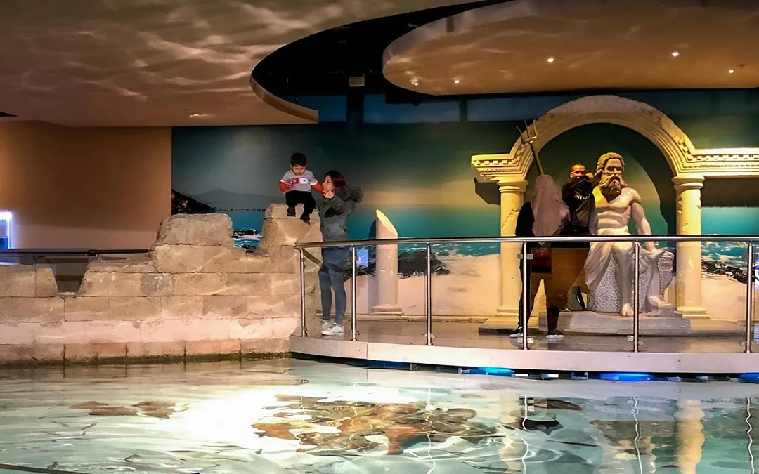 Istanbul Aquarium Skip-the-Line Tickets with Round-Trip Shuttle from Taksim Image 9
