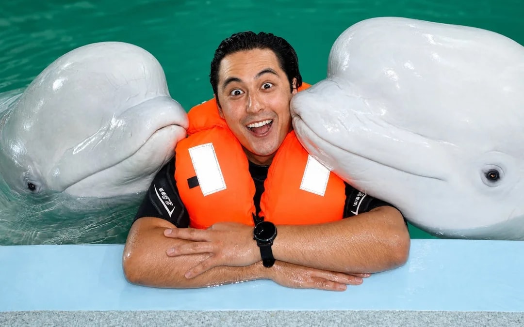 Istanbul Dolphinarium Show and Dolphin Swimming Experience Tickets Image 2