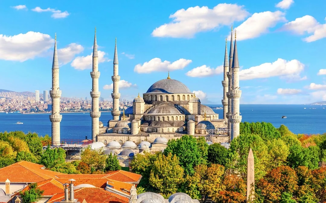 Istanbul Old Town Guided Tour with Blue Mosque & Galata Tower Entry Tickets Image 2