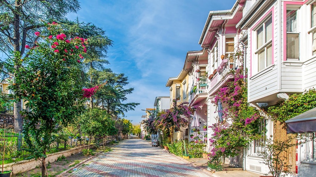 Heybeliada Island street with colorful houses and blooming flowers in Istanbul.