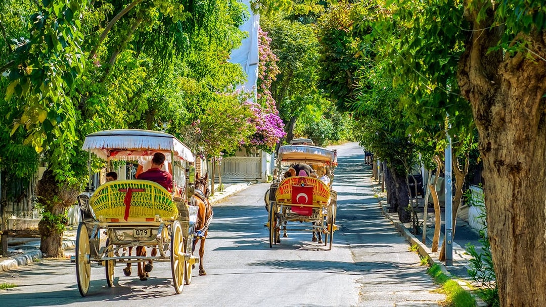 Horse-drawn carriages on a tree-lined street in Buyukada Island, Istanbul.