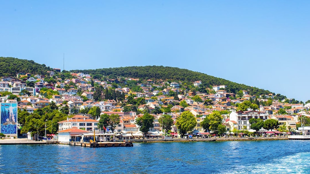 Coastline view of Princes Islands, Istanbul, with hillside houses and lush greenery.