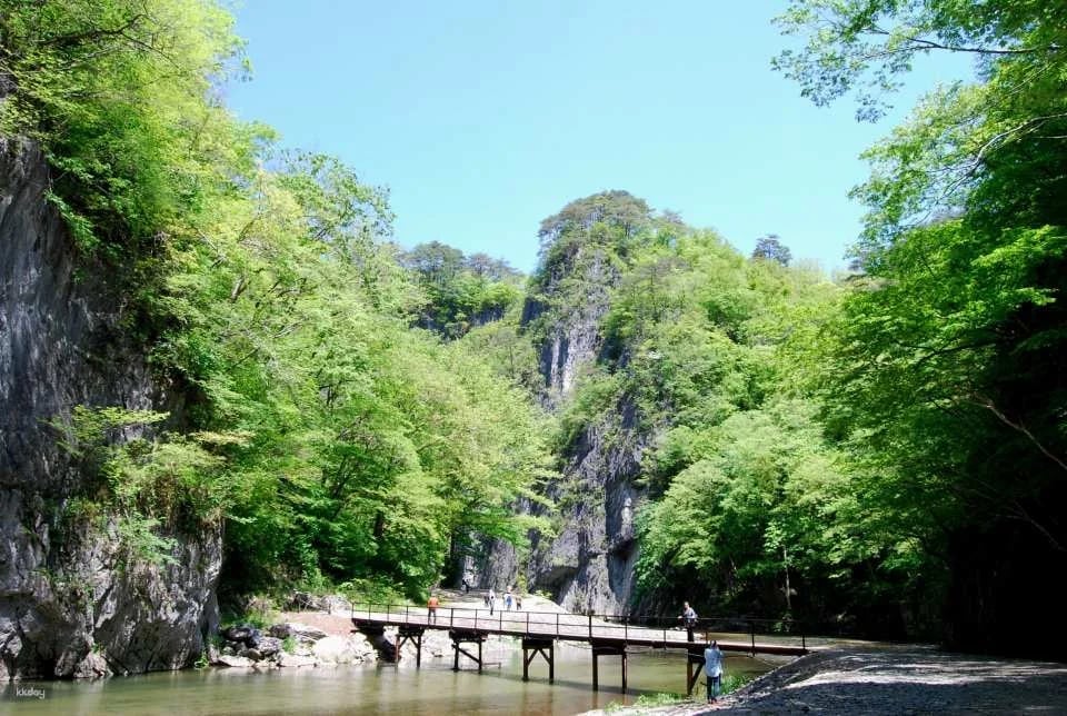 Iwate Geibi Gorge｜Cruise tour Local specialties set or winter limited hot pot set