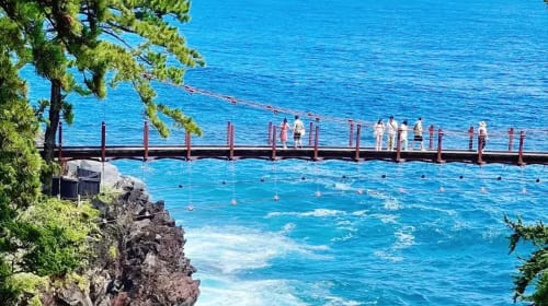 1-day tour in Izu: Free ocean-view train + Jogasaki coast, visit the filming location of "Your name" Day Tours