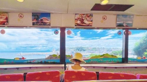 1-day tour in Izu: Free ocean-view train + Jogasaki coast, visit the filming location of "Your name" Day Tours