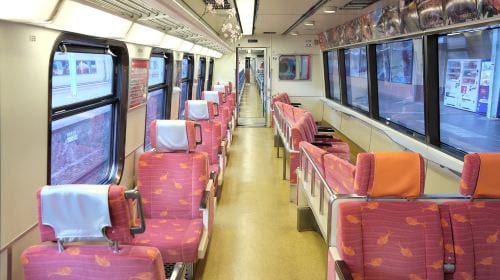 1-day tour in Izu: Free ocean-view train + Jogasaki coast, visit the filming location of "Your name" Day Tours