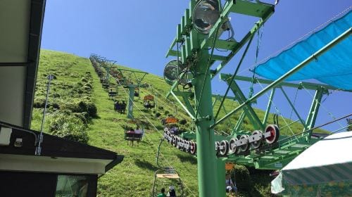 1-day tour in Izu: Free ocean-view train + Jogasaki coast, visit the filming location of "Your name" Day Tours