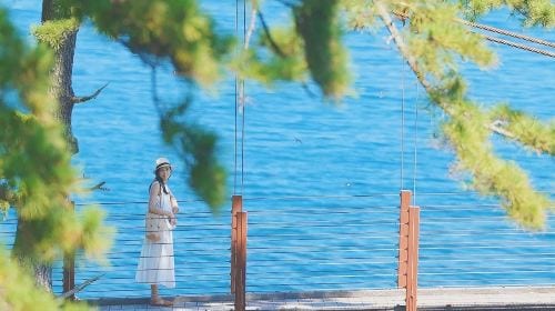 1-day tour in Izu: Free ocean-view train + Jogasaki coast, visit the filming location of "Your name" Day Tours