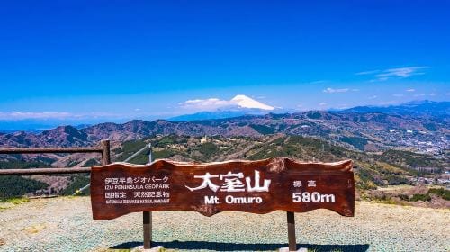 1-day tour in Izu: Free ocean-view train + Jogasaki coast, visit the filming location of "Your name" Day Tours