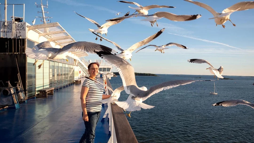 Seagull feeding on Hangang Cruise in Seoul with a view of the water.