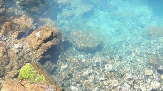 Japan Kitakyushu Yamaguchi Akiyoshido Cave + Motonosumi Shrine + Tsunoshima Bridge 1-day tour
