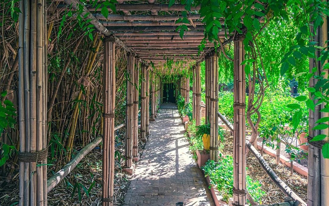 Jardin Majorelle Entry Tickets  Image 9