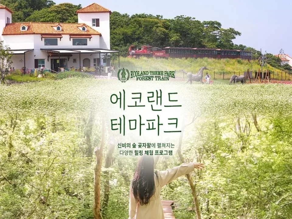 Jeju Ecoland Theme Park Discount Admission Ticket