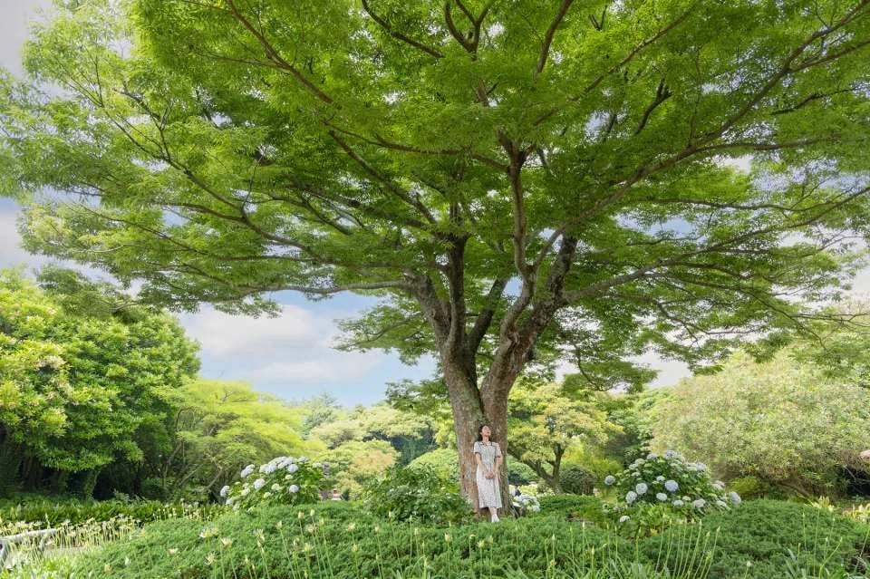Jeju Folk Village Admission Ticket | South Korea