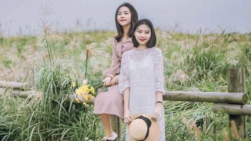 Jeju travel photography[Global Seoul and Jeju Island wedding photography package with professional photographer for pre-wedding photoshoots and portrait sessions]