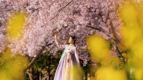 Jeju travel photography[Global Seoul and Jeju Island wedding photography package with professional photographer for pre-wedding photoshoots and portrait sessions]