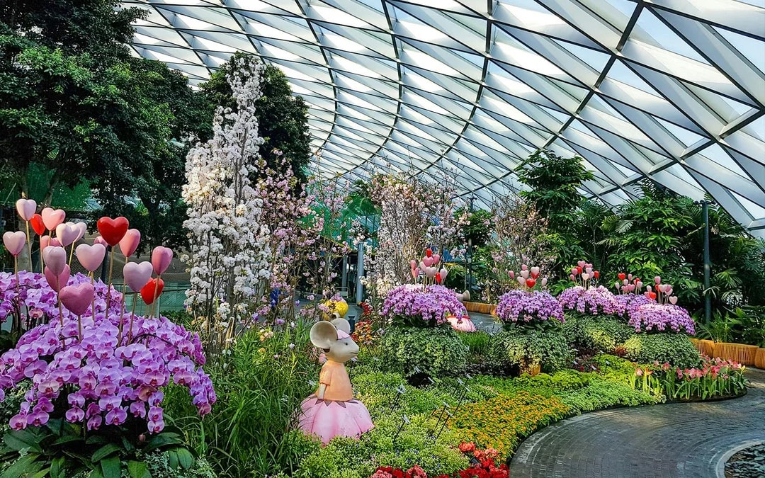 Jewel Changi Canopy Park Tickets with Mazes Image 8