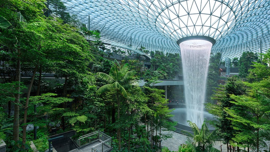 Jewel Changi indoor tropical forest with lush greenery and cascading waterfall in Singapore.