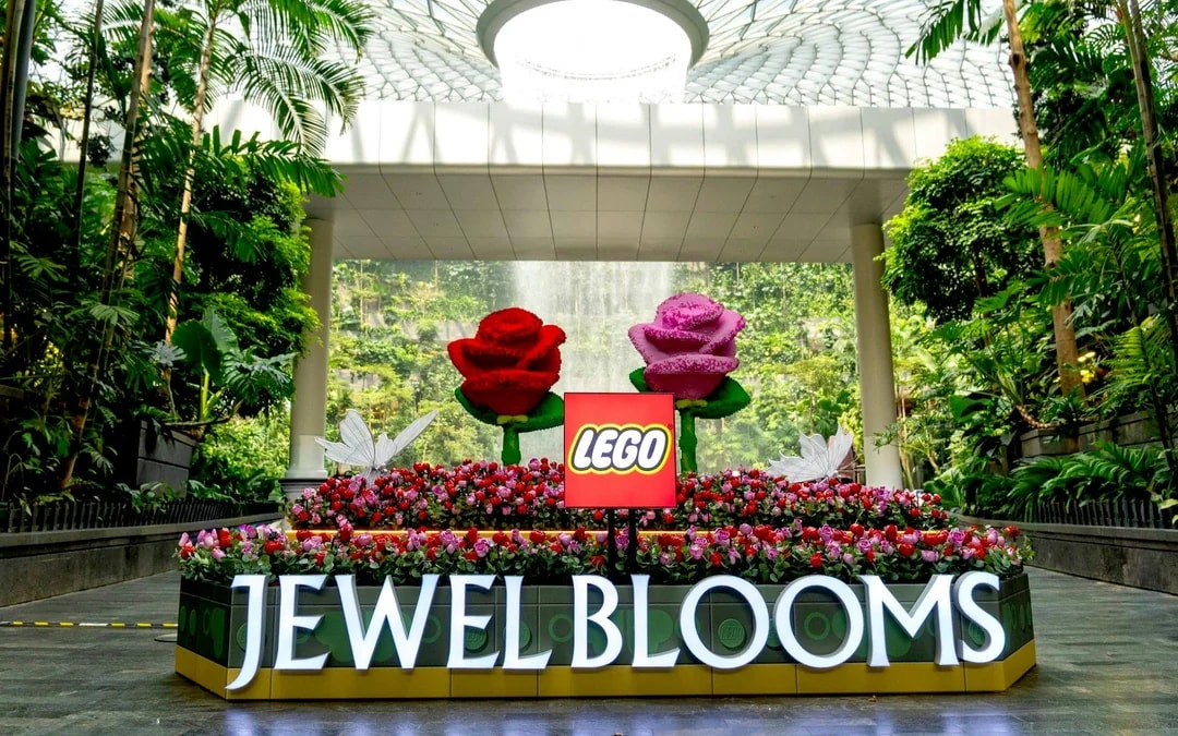 Jewel Changi Canopy Park Tickets with Nets Image 4