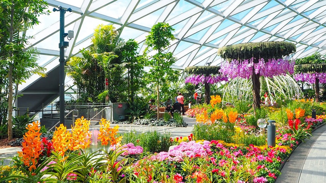 Petal Garden at Canopy Park, Jewel Changi, featuring vibrant flowers and lush greenery.