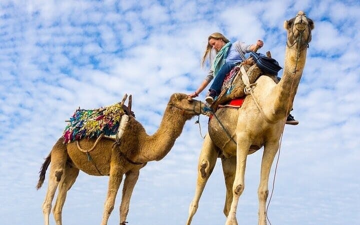 Journey Through the Palmeraie, Camel Ride & Transfer - Marrakesh Image 5