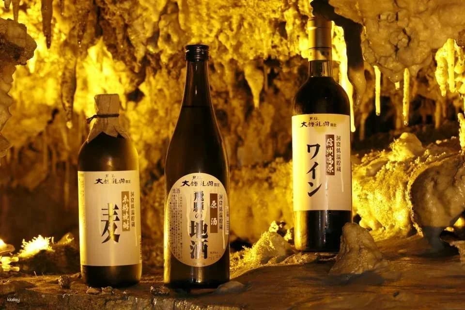 [JPY100 Discount] Hida Great Limestone Cave & Ohashi Collection Museum | Hida Takayama