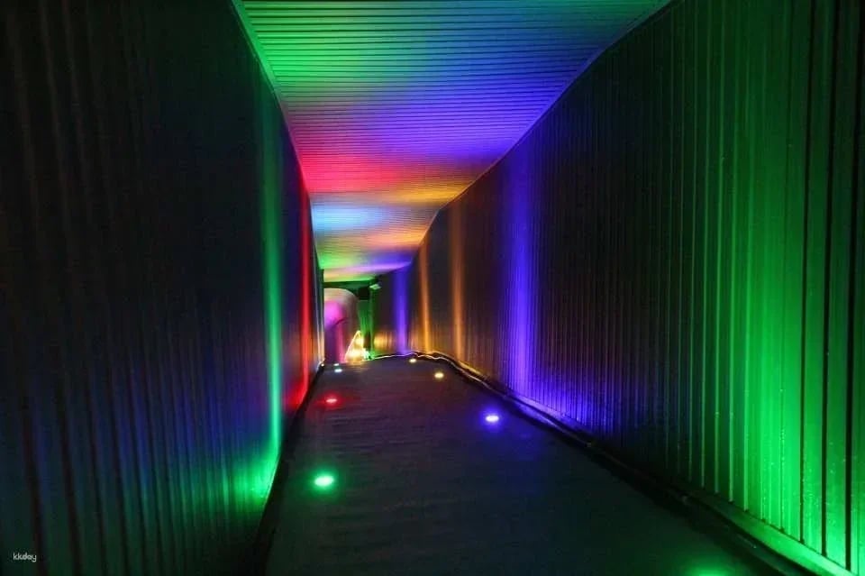 [JPY100 Discount] Hida Great Limestone Cave & Ohashi Collection Museum | Hida Takayama