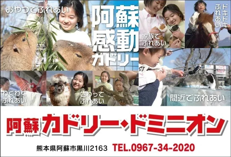 [JPY100 OFF for Advance Purchase] Aso Cuddly Dominion Admission Ticket in Kumamoto | Japan