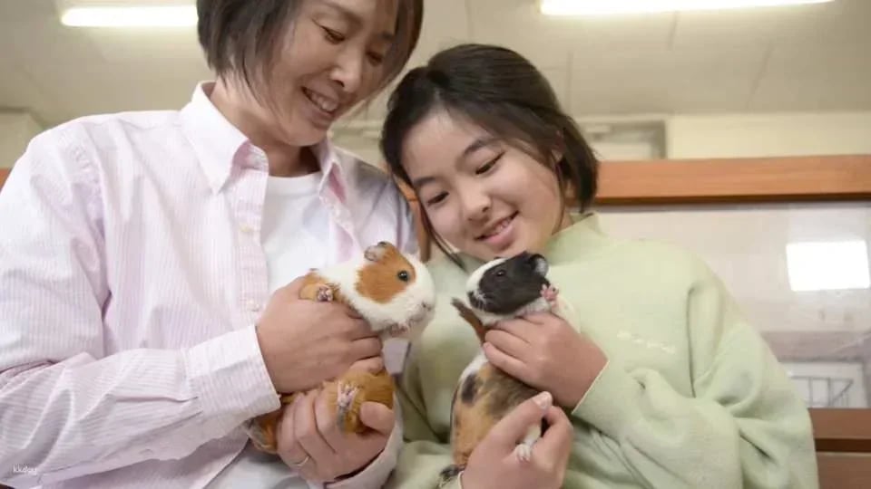 [JPY100 OFF for Advance Purchase] Aso Cuddly Dominion Admission Ticket in Kumamoto | Japan