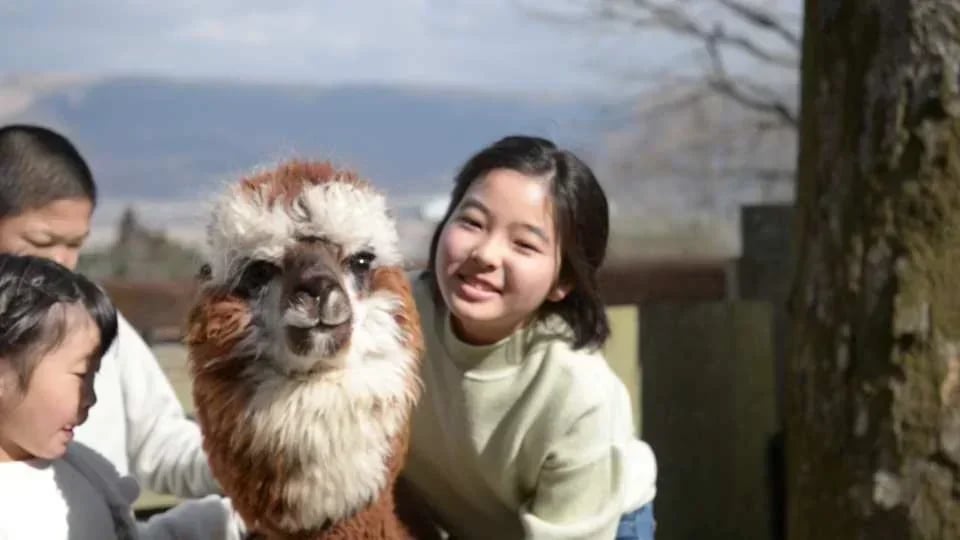 [JPY100 OFF for Advance Purchase] Aso Cuddly Dominion Admission Ticket in Kumamoto | Japan