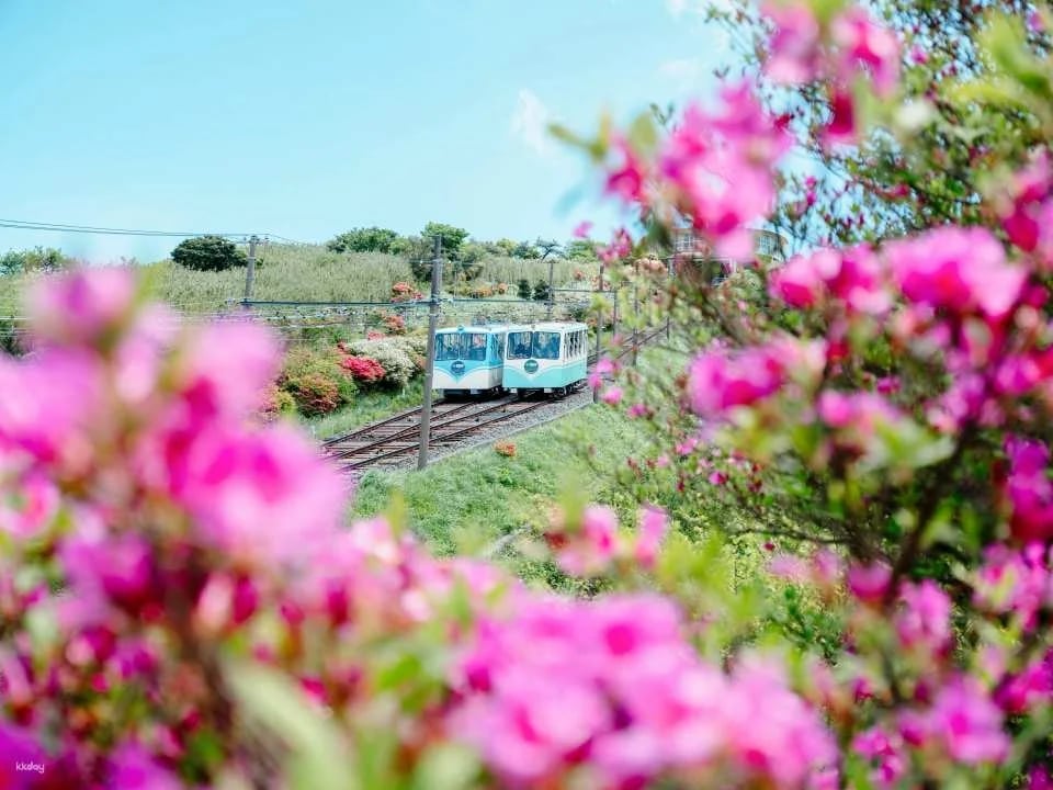 Jukkokutoge Cable Car Tickets｜Confirmed Instant Reservations｜Shizuoka