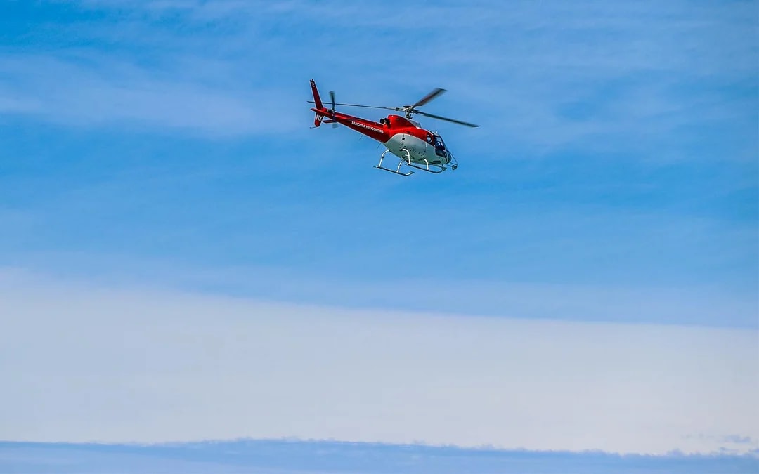 Kaikoura Classic Whale-Watching Helicopter Tour Image 2