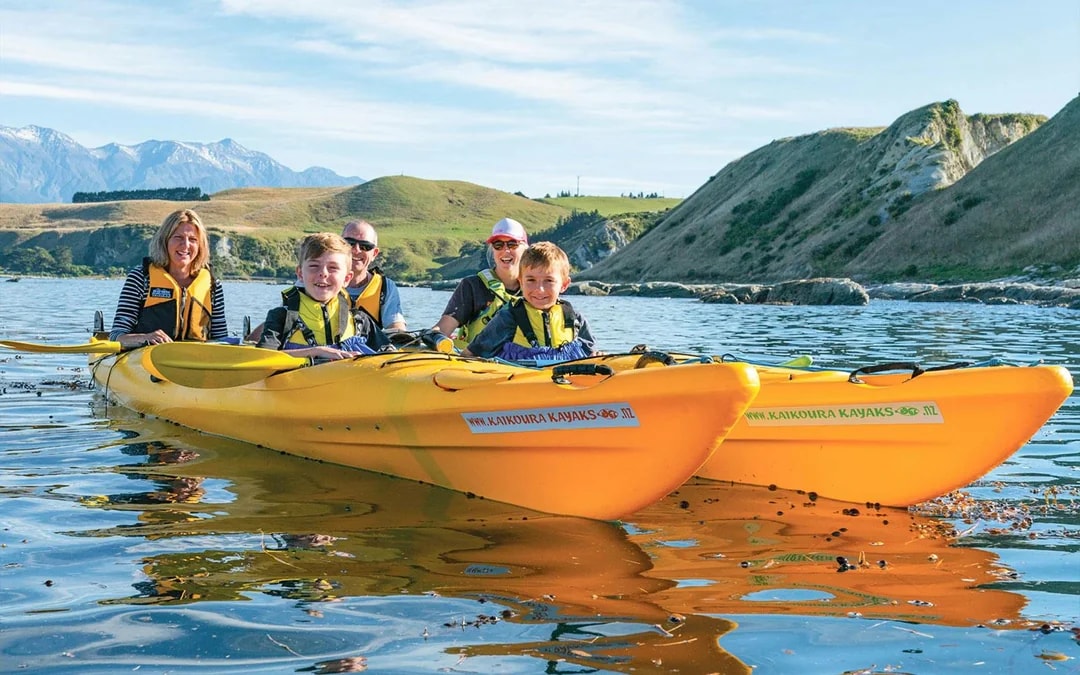 Kaikoura Guided Wildlife Kayaking Experience Image 8