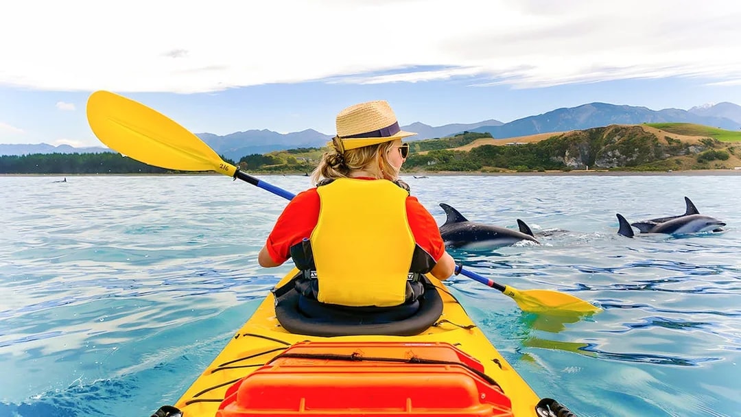 Kayaker paddling near dolphins in scenic coastal waters.