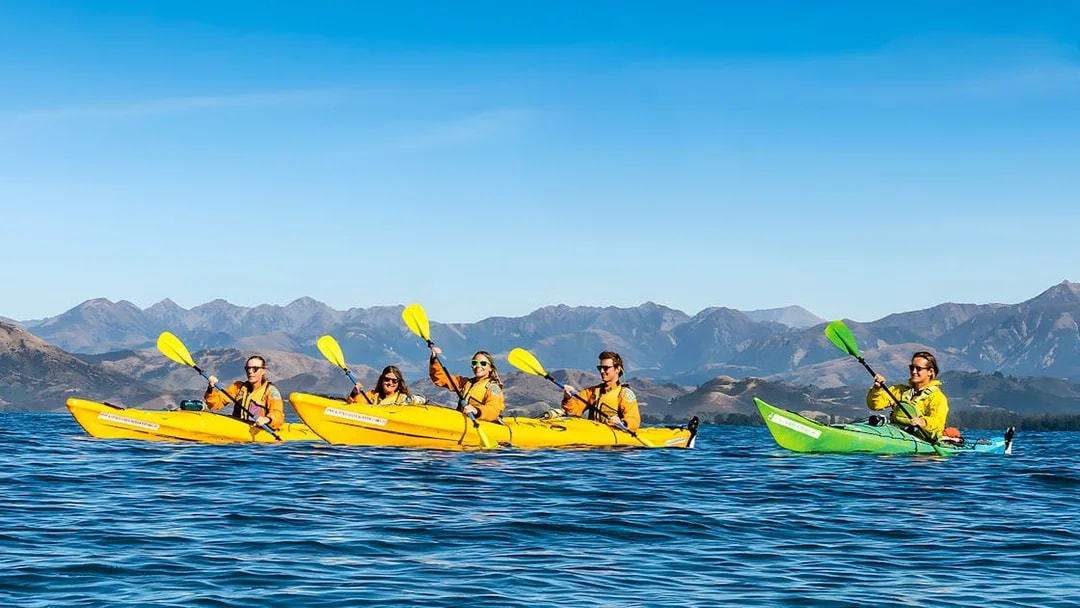 Group kayaking on a guided wildlife tour with mountain views in the background.