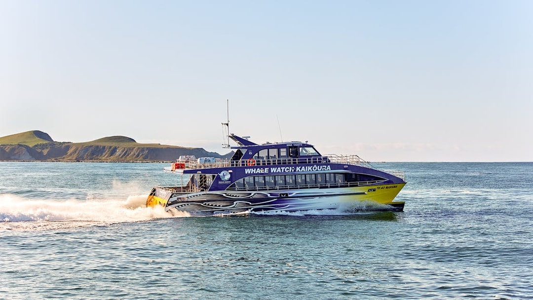 Whale watching boat cruising in Kaikoura with scenic coastal backdrop.