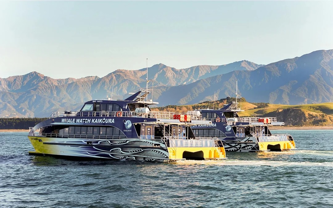 Kaikoura Whale Watching Cruise Image 1